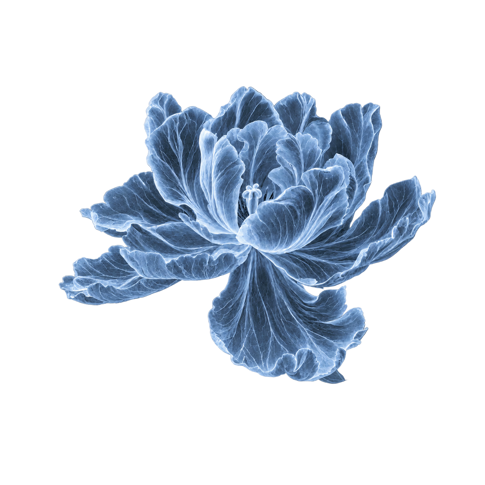 Blue X-ray flower representing project delivery